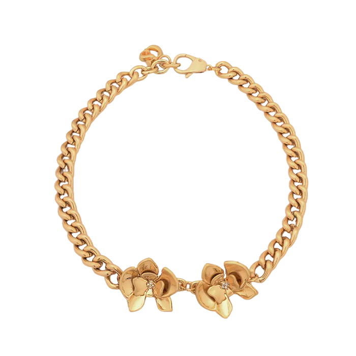 COLLARES